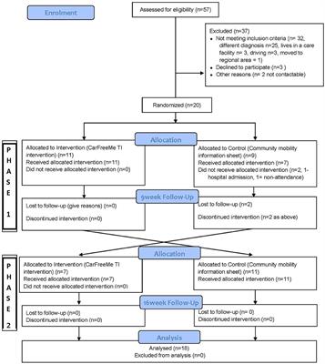 Effects of the CarFreeMe Traumatic Injuries, a Community Mobility Group Intervention, to Increase Community Participation for People With Traumatic Injuries: A Randomized Controlled Trial With Crossover